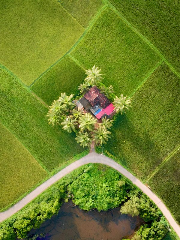 manas-manikoth-rFF_usd1Pgo-unsplash